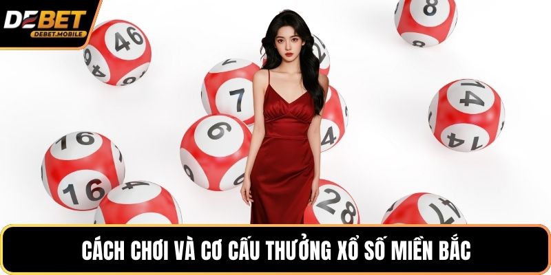 Cách chơi và cơ cấu thưởng xổ số miền Bắc